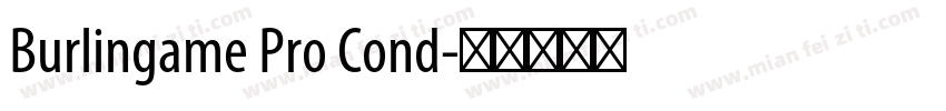 Burlingame Pro Cond字体转换